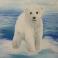 Polar Bear Cub- 2 hours