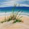 Beach Grass