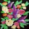 Flowers on black