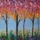 Rainbow Grove