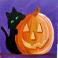 Cat and Pumpkin
