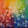 Rainbow Dasies