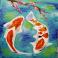 Koi
