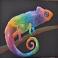 Rainbow Chameleon 