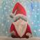 Winter Gnome Winter Gnome